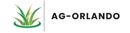 Artificial Grass Orlando